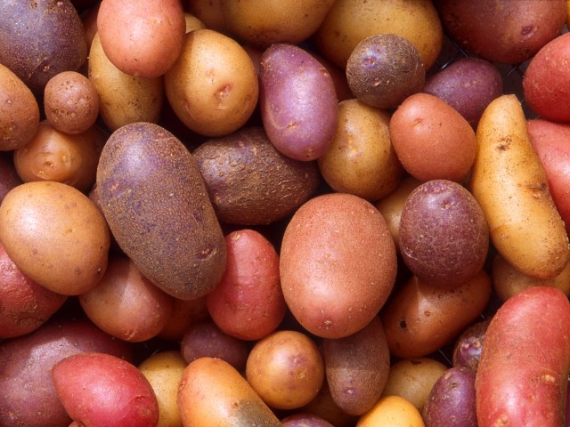 Besondere Kartoffeln